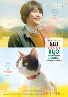 ผมแมวและการเดินทางของเรา 2018