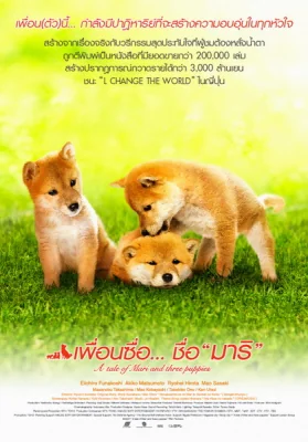 เพื่อนซื่อชื่อมาริ 2007