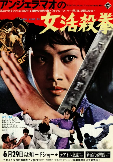 พยัคฆ์สาวหมัดเหล็ก 1972