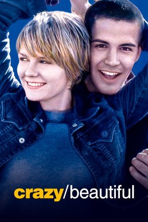 ดูหนัง Crazy/Beautiful (2001) รักร้อน วัยแรง