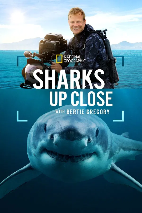Sharks Up Close with Bertie Gregory (2025)