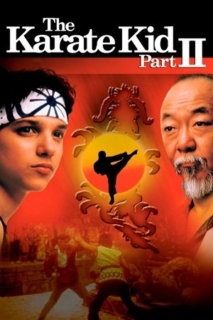 ดูหนัง The Karate Kid Part II (1986) คิด คิด ต้องสู้ ภาค 2